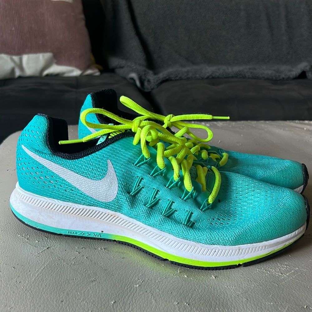 Nike zoom pegasus
